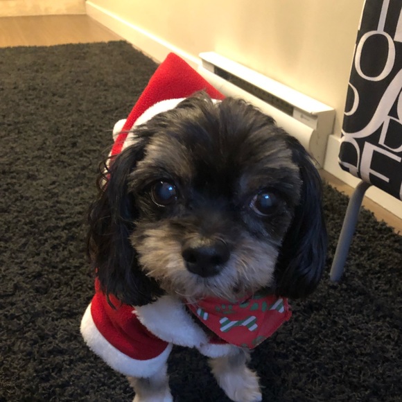 Meet your Posher, Tammy - Picture 1 of 1